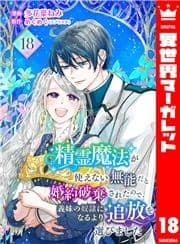 精霊魔法が使えない無能だと婚約破棄されたので､義妹の奴隷になるより追放を選びました_thumbnail