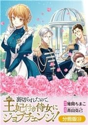 裏切られたので､王妃付き侍女にジョブチェンジ!【分冊版】_thumbnail