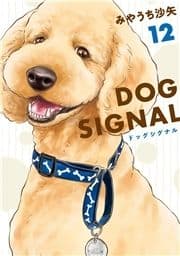 DOG SIGNAL_thumbnail