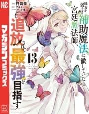 味方が弱すぎて補助魔法に徹していた宮廷魔法師､追放されて最強を目指す_thumbnail