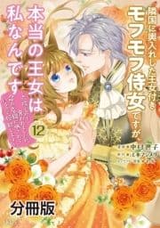 隣国に輿入れした王女付きモフモフ侍女ですが､本当の王女は私なんです 分冊版_thumbnail