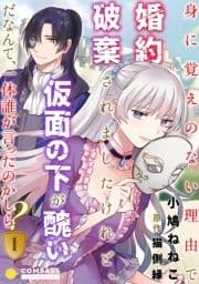 身に覚えのない理由で婚約破棄されましたけれど､仮面の下が醜いだなんて､一体誰が言ったのかしら?_thumbnail