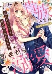 拾われリリーは甘い嘘にほだされる ワケあり貴族さまは初夜から溺愛です(分冊版)_thumbnail