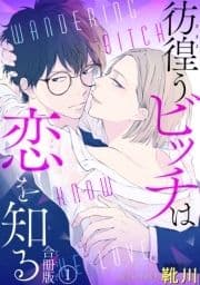 彷徨うビッチは恋を知る 合冊版_thumbnail