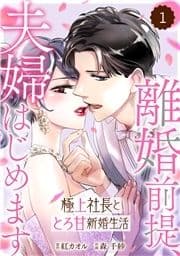 comic Berry's 離婚前提､夫婦はじめます～極上社長ととろ甘新婚生活～(分冊版)