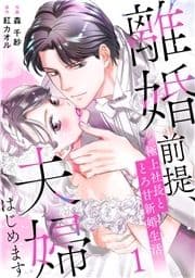 離婚前提､夫婦はじめます～極上社長ととろ甘新婚生活～