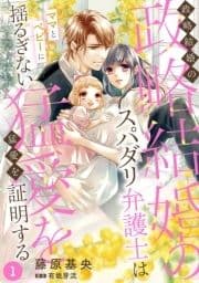 政略結婚のスパダリ弁護士はママとベビーに揺るぎない猛愛を証明する【分冊版】_thumbnail