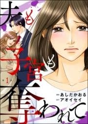 夫も子宮も奪われて(分冊版)