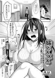 姉とXXX ～彼氏のフリして巨乳姉をハメ撮りしてみたら…～