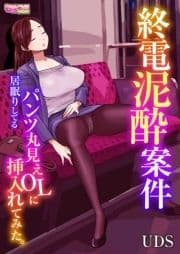 終電泥酔案件～居眠りしてるパンツ丸見えOLに挿入れてみた｡～